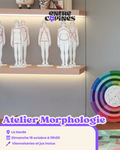 Atelier morphologie